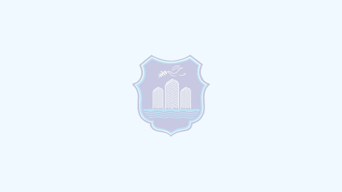 ispuna-624ce02a2fc94451e4962ebf